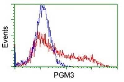 Flow Cytometry: PGM3 Antibody (OTI5C6) - Azide and BSA Free [NBP2-73364]