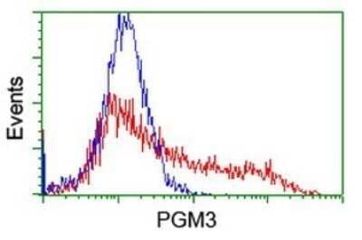 Flow Cytometry: PGM3 Antibody (OTI5C6) [NBP2-46380]