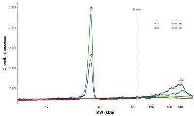 Simple Western: PGRMC1 Antibody [NBP1-83220]