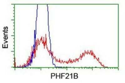 Flow Cytometry: PHF21B Antibody (OTI3D1) - Azide and BSA Free [NBP2-73367]