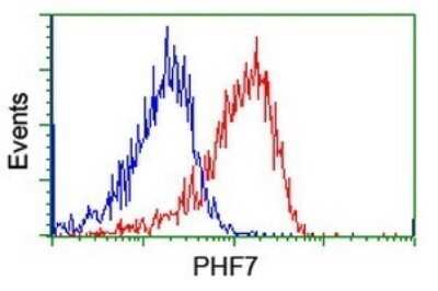 Flow Cytometry: PHF7 Antibody (OTI1G9) - Azide and BSA Free [NBP2-73371]