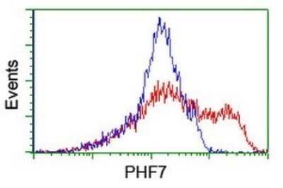 Flow Cytometry: PHF7 Antibody (OTI1G9) - Azide and BSA Free [NBP2-73371]