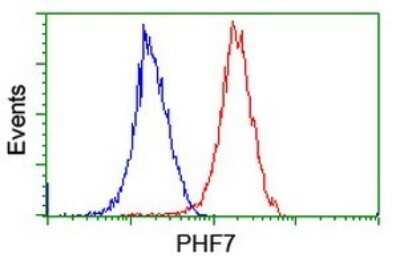 Flow Cytometry: PHF7 Antibody (OTI1G9) [NBP2-45881]