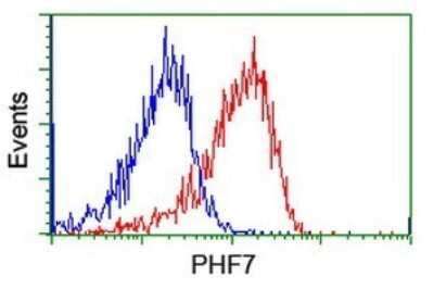 Flow Cytometry: PHF7 Antibody (OTI1G9) [NBP2-45881]
