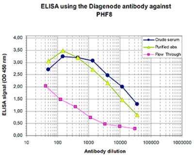 ELISA: PHF8 Antibody [NBP2-62797]