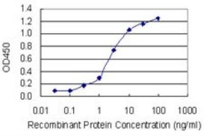 ELISA: PHIP Antibody (4D7) [H00055023-M01]