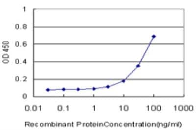 ELISA: PHKG2 Antibody (2F4) [H00005261-M04]