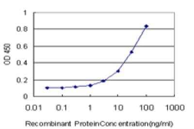 ELISA: PHOSPHO1 Antibody (4B2) [H00162466-M04]