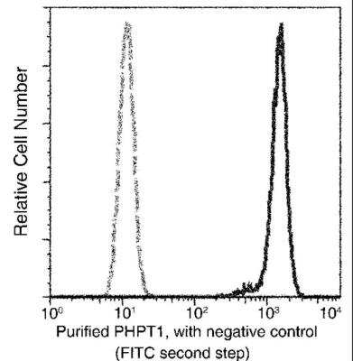 Flow Cytometry: PHPT1 Antibody (001) [NBP2-90108]