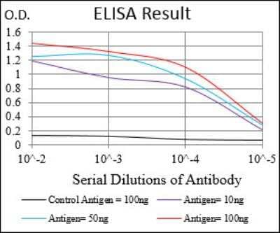 ELISA: PI 3-Kinase p110 gamma Antibody (4B5D2) - BSA Free [NBP2-52531]
