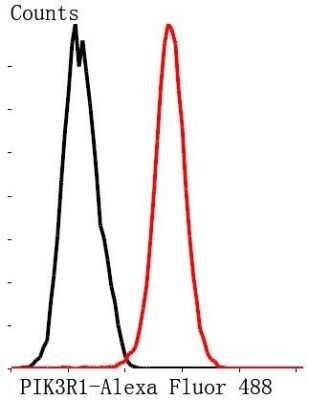 Flow Cytometry: PI 3-Kinase p85 alpha Antibody (A3-D0) [NBP2-67058]