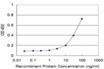 ELISA: PI4KB/PI4KIII beta Antibody (3B1) [H00005298-M02]