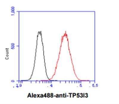 Flow Cytometry: PIG3 Antibody (1C9) - BSA Free [NBP2-22591]