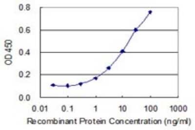 ELISA: PIGC Antibody (1G2) [H00005279-M01]