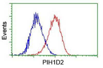 Flow Cytometry: PIH1D2 Antibody (OTI4A10) [NBP2-03656]