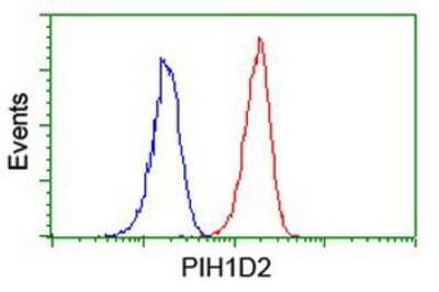 Flow Cytometry: PIH1D2 Antibody (OTI4A10) [NBP2-03656]