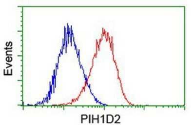 Flow Cytometry: PIH1D2 Antibody (OTI4A10) - Azide and BSA Free [NBP2-73403]