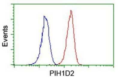 Flow Cytometry: PIH1D2 Antibody (OTI4A10) - Azide and BSA Free [NBP2-73403]