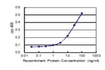 ELISA: PIK3C2G Antibody (3D8) [H00005288-M01]