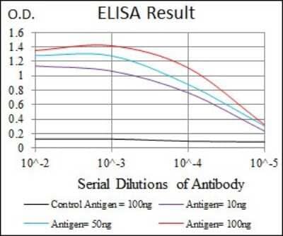 ELISA: PIK3CA Antibody (4F3) - BSA Free [NBP2-37511]