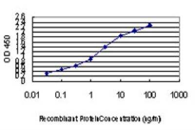ELISA: PIK3R4 Antibody (1G12) [H00030849-M03]