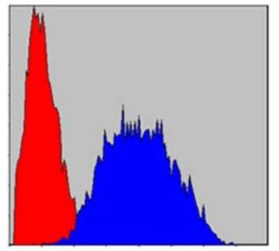 Flow Cytometry: PINCH1/LIMS1 Antibody (5G7) - BSA Free [NBP2-37581]