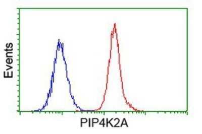 Flow Cytometry: PIP5K2 alpha Antibody (OTI3D3) - Azide and BSA Free [NBP2-73417]