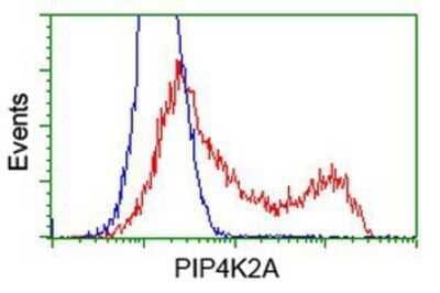 Flow Cytometry: PIP5K2 alpha Antibody (OTI3D3) - Azide and BSA Free [NBP2-73417]
