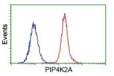 Flow Cytometry: PIP5K2 alpha Antibody (OTI3D3) [NBP2-03492]