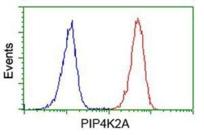 Flow Cytometry: PIP5K2 alpha Antibody (OTI3D3) [NBP2-03492]