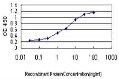 ELISA: PITX2 Antibody (2G6) [H00005308-M01]