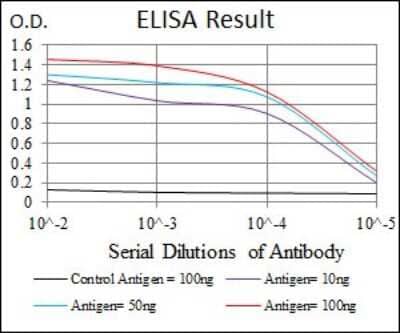 ELISA: PKA C-gamma Antibody (2E4) - BSA Free [NBP2-37487]