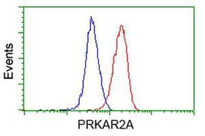 Flow Cytometry: PKA R2 Antibody (OTI1F8) [NBP2-02520]