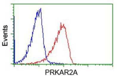 Flow Cytometry: PKA R2 Antibody (OTI1F8) [NBP2-02520]