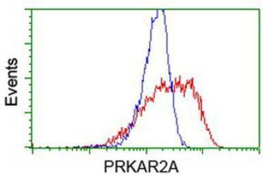 Flow Cytometry: PKA R2 Antibody (OTI1F8) [NBP2-02520]