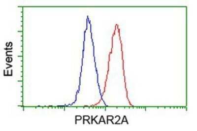 Flow Cytometry: PKA R2 Antibody (OTI1F8) - Azide and BSA Free [NBP2-73428]