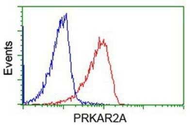 Flow Cytometry: PKA R2 Antibody (OTI1F8) - Azide and BSA Free [NBP2-73428]