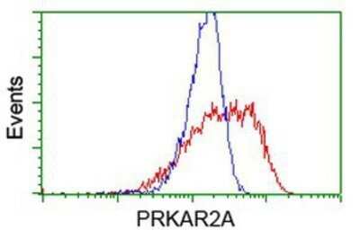 Flow Cytometry: PKA R2 Antibody (OTI1F8) - Azide and BSA Free [NBP2-73428]