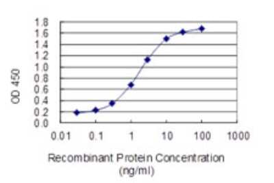 Sandwich ELISA Capture: PKA RI beta Antibody (1F8) [H00005575-M05]