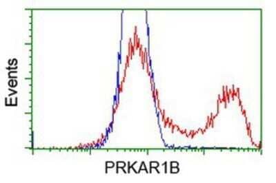 Flow Cytometry: PKA RI beta Antibody (OTI2A3) - Azide and BSA Free [NBP2-73430]