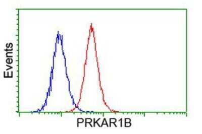 Flow Cytometry: PKA RI beta Antibody (OTI2A3) [NBP2-00634]