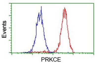 Flow Cytometry: PKC epsilon Antibody (OTI4G8) [NBP2-03620]