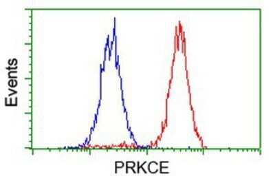 Flow Cytometry: PKC epsilon Antibody (OTI4G8) - Azide and BSA Free [NBP2-73438]