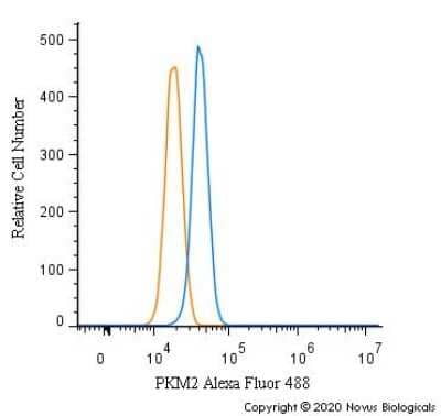 Flow Cytometry: PKM2 Antibody - BSA Free [NBP1-48308]