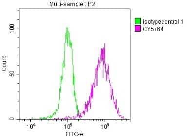 Flow Cytometry: PKM2 Antibody (7B2) [NBP3-15230]