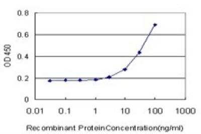 ELISA: PKN1 Antibody (1B10) [H00005585-M01]