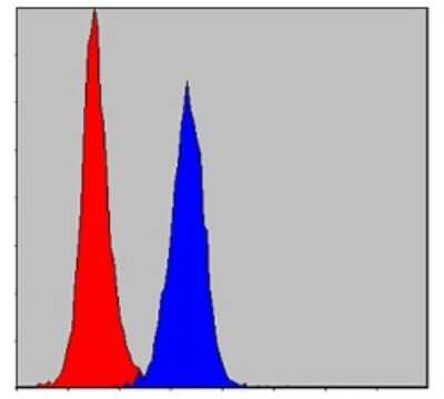 Flow Cytometry: PKN2 Antibody (1D1) - BSA Free [NBP2-37573]