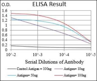 ELISA: PKR Antibody (6H3A10) - BSA Free [NBP2-37242]