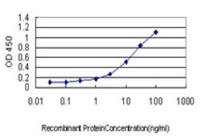 ELISA: PLA2G4A Antibody (10G5) [H00005321-M01]