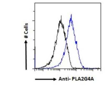 Flow Cytometry: PLA2G4A Antibody [NBP1-52050]